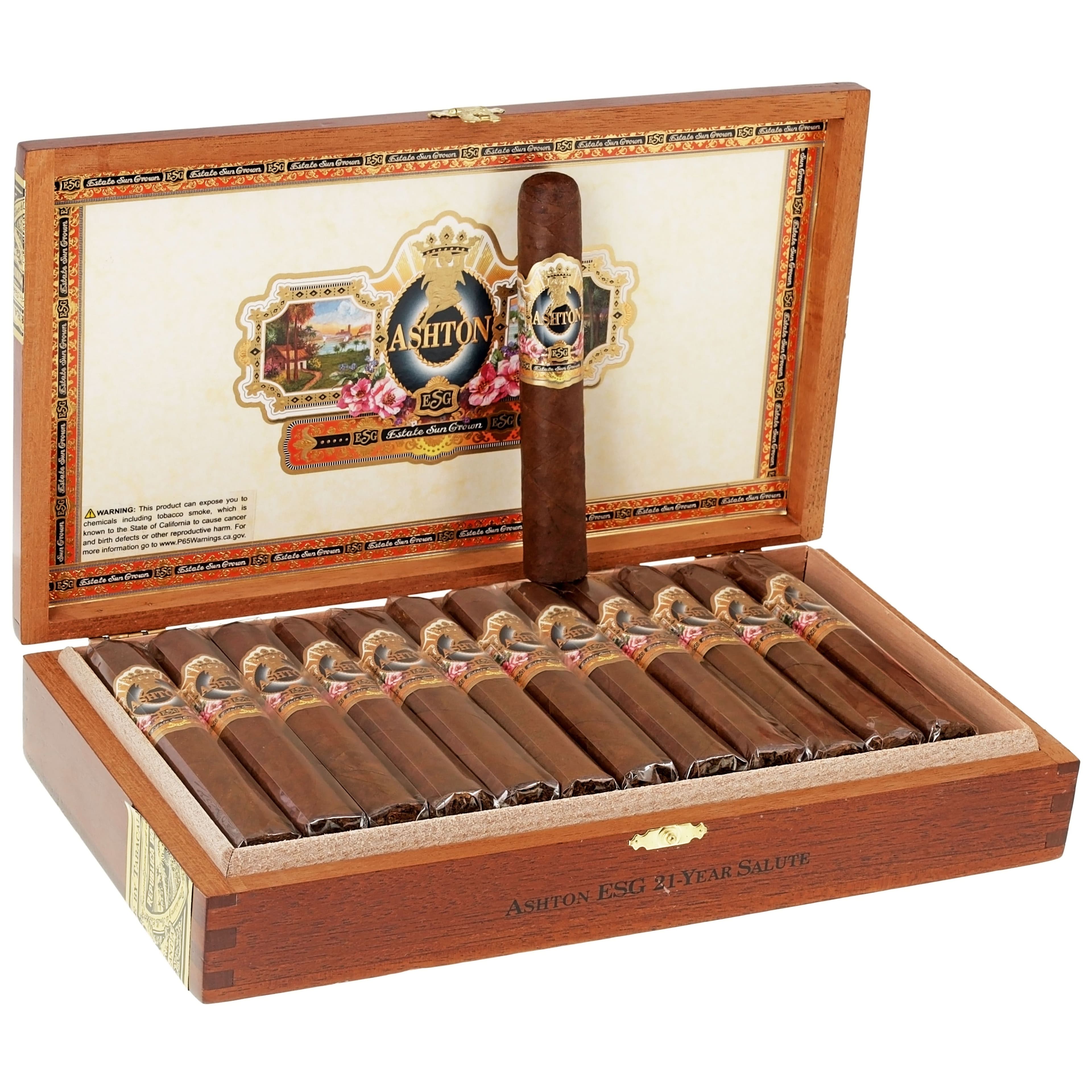 Ashton ESG 21 Year Salute 25