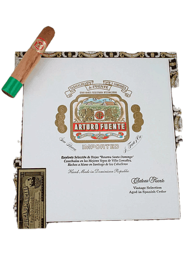 Arturo Fuente Chateau Fuente Natural 20
