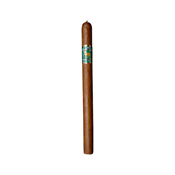 Casdagli Daughters Of The Wind Cremello Lancero 12