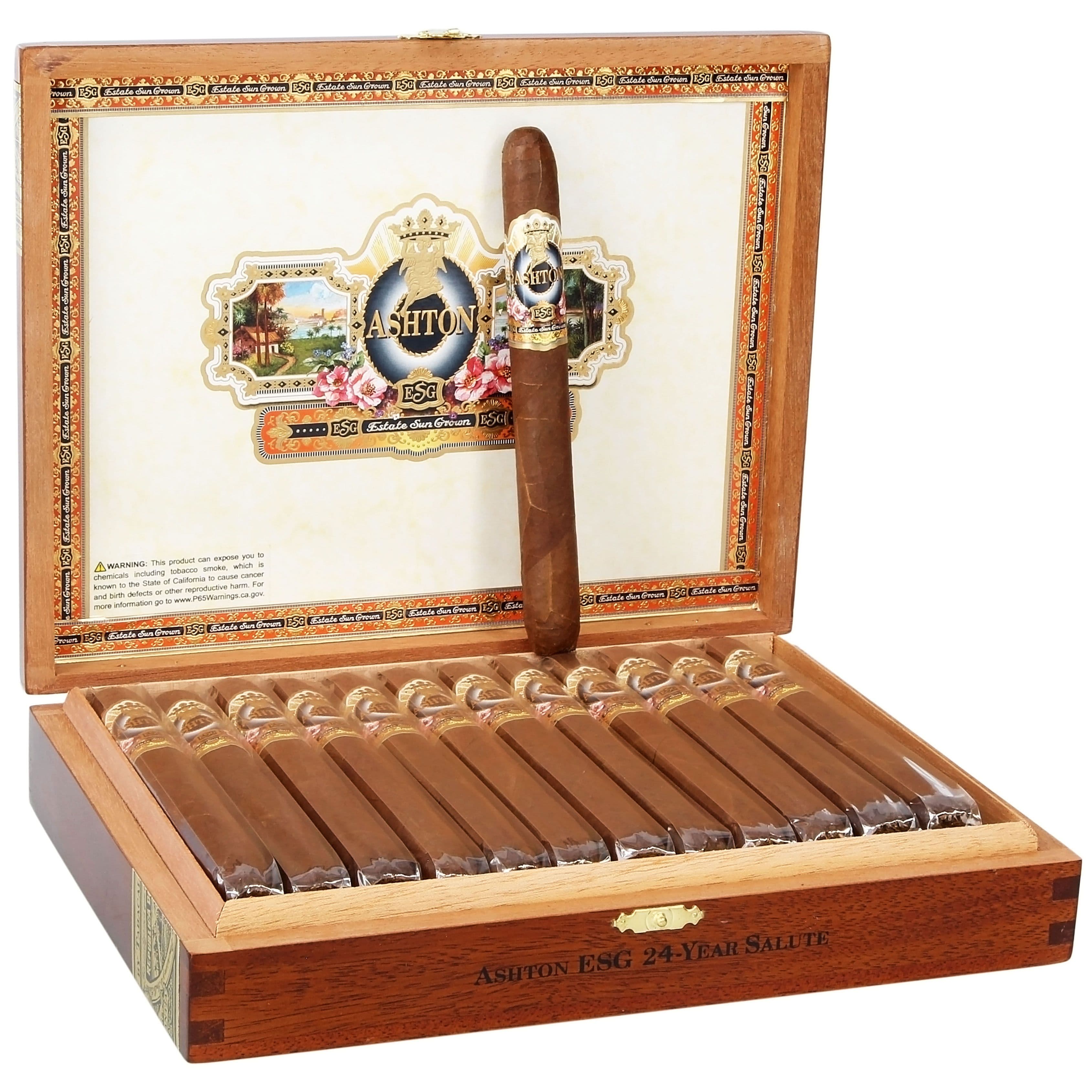 Ashton ESG 24 Year Salute