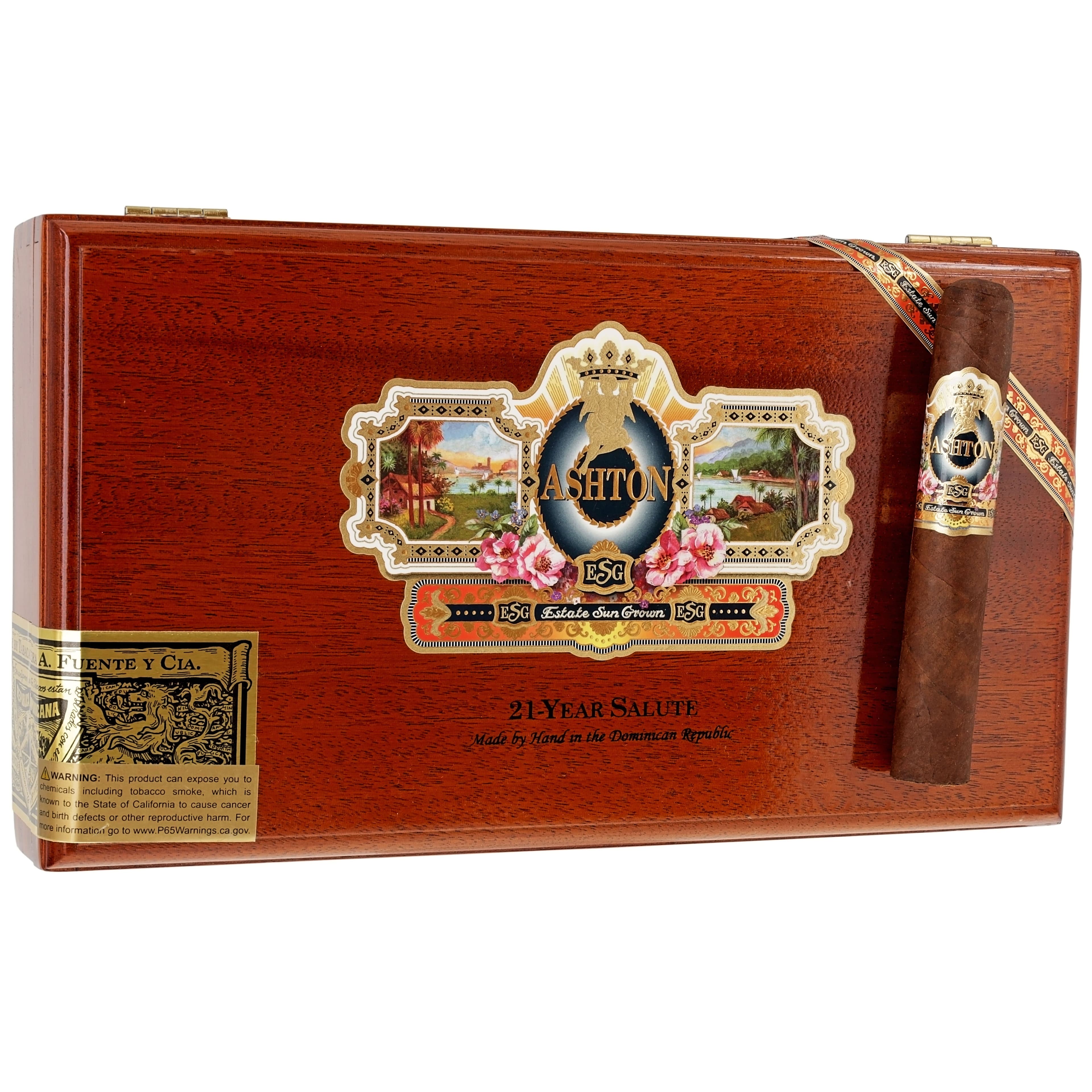 Ashton ESG 21 Year Salute