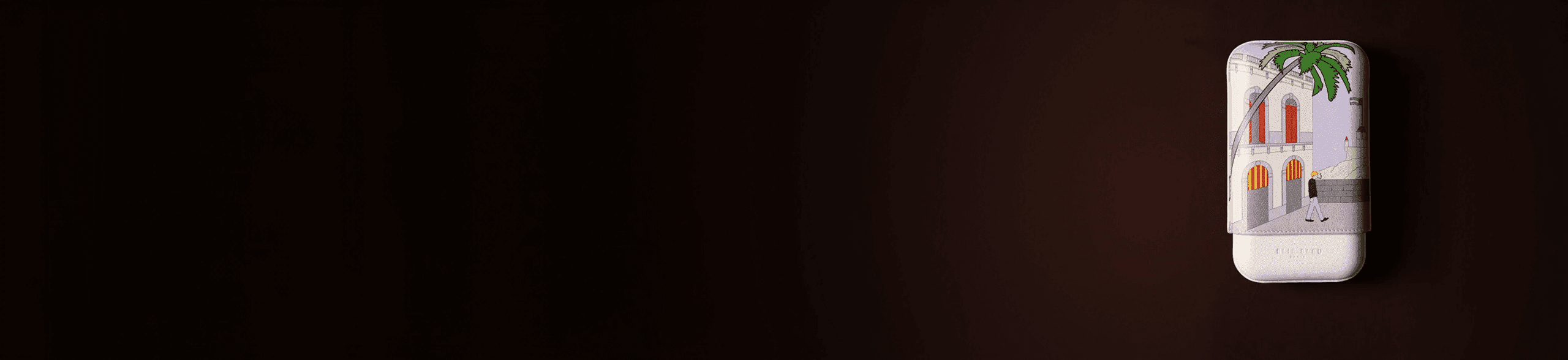 Cases banner image