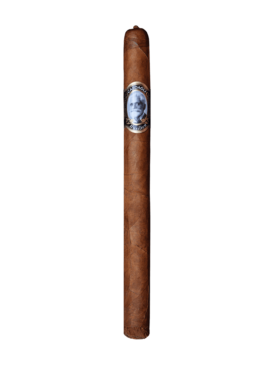 Casdagli Basilica Line Basilica - Lancero
