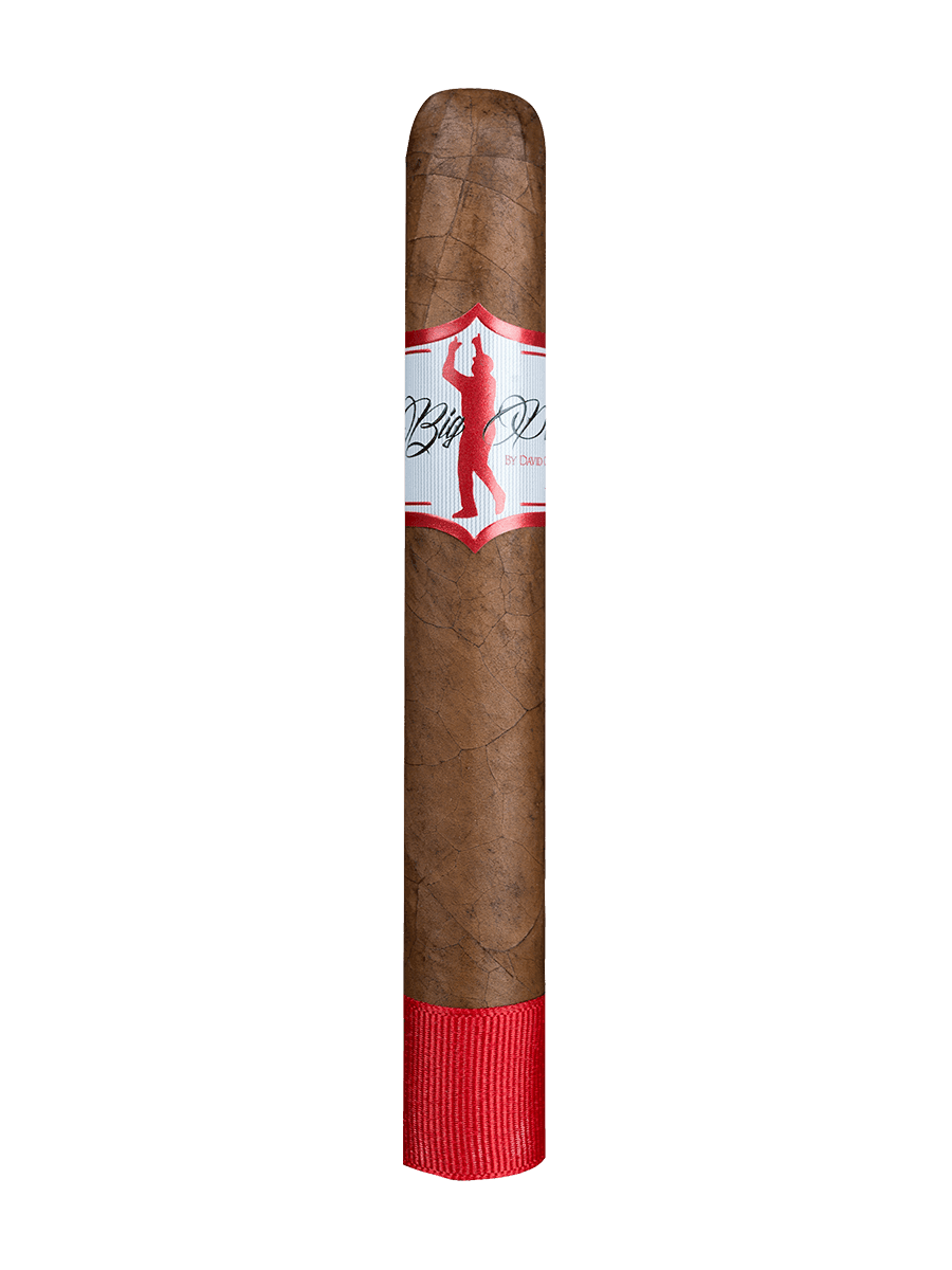 Artista Big Papi by David Ortiz