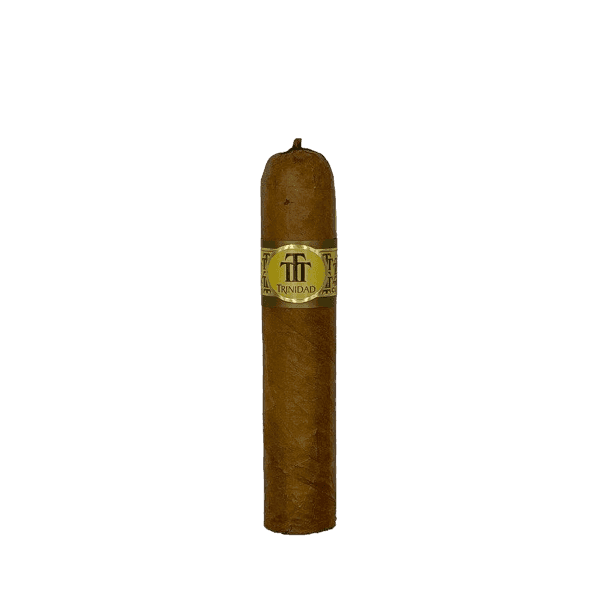 Trinidad Vigia