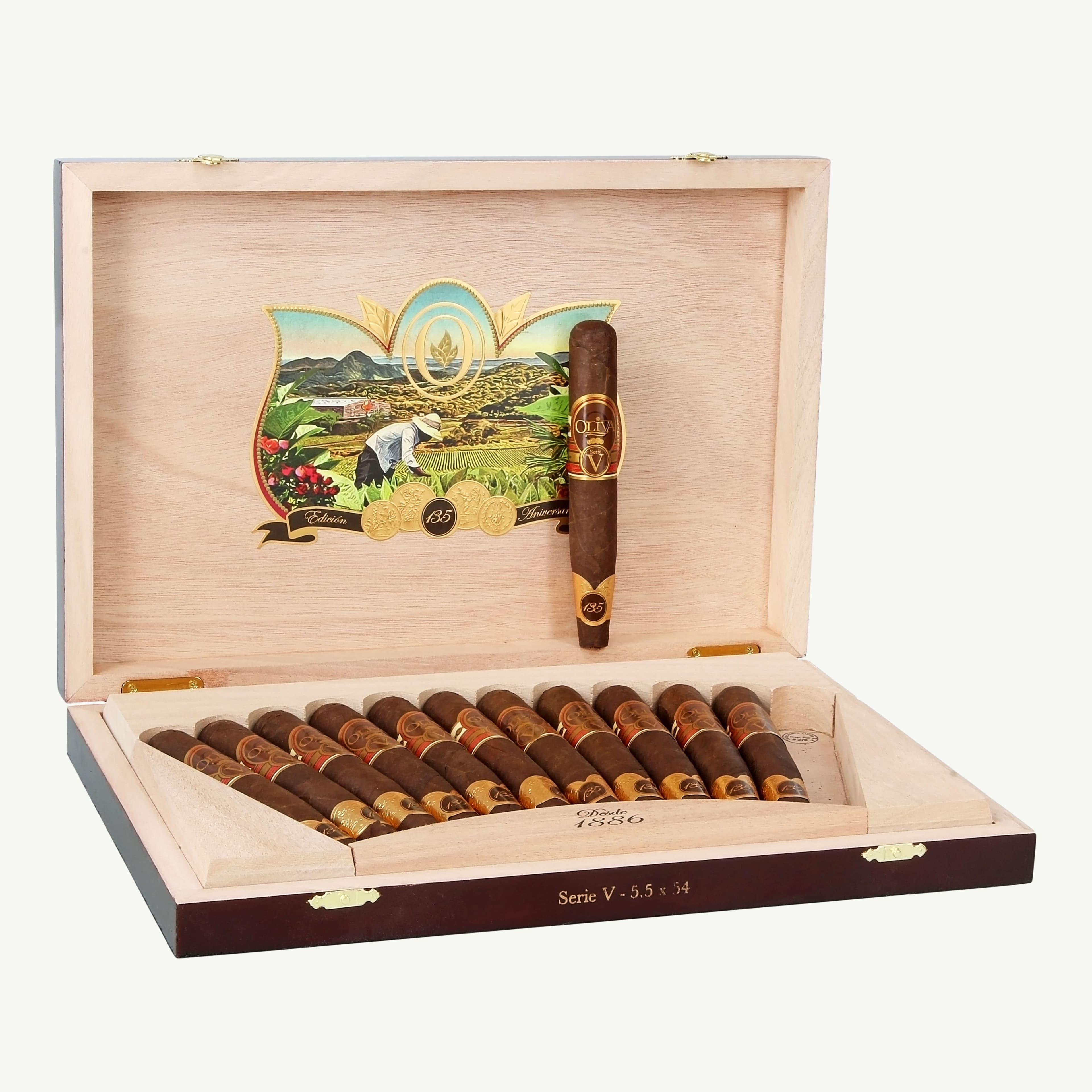 Oliva Serie V 135 Aniversario Perfecto