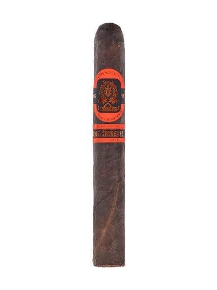 Liga Tridente Yasuke Maduro Toro
